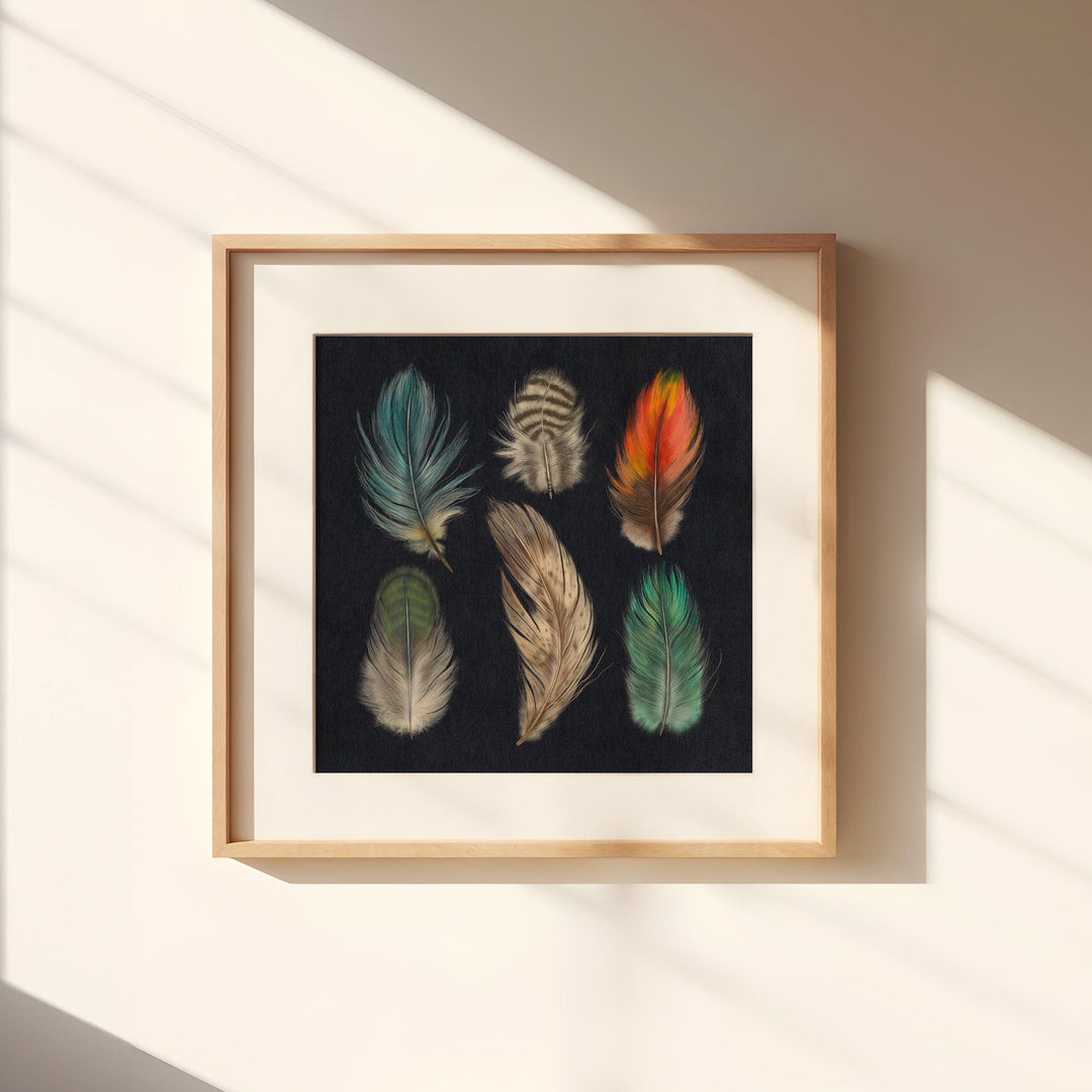 Feather Study Art Print