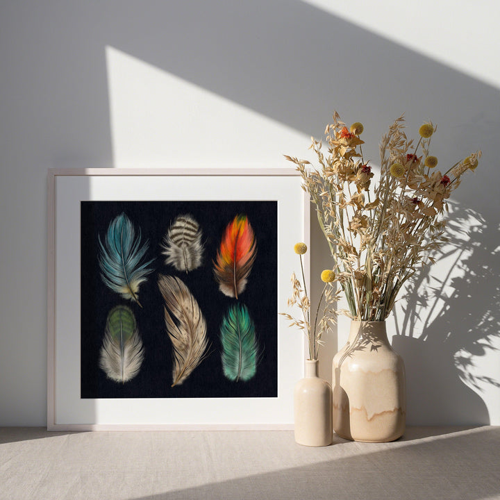 Feather Study Art Print