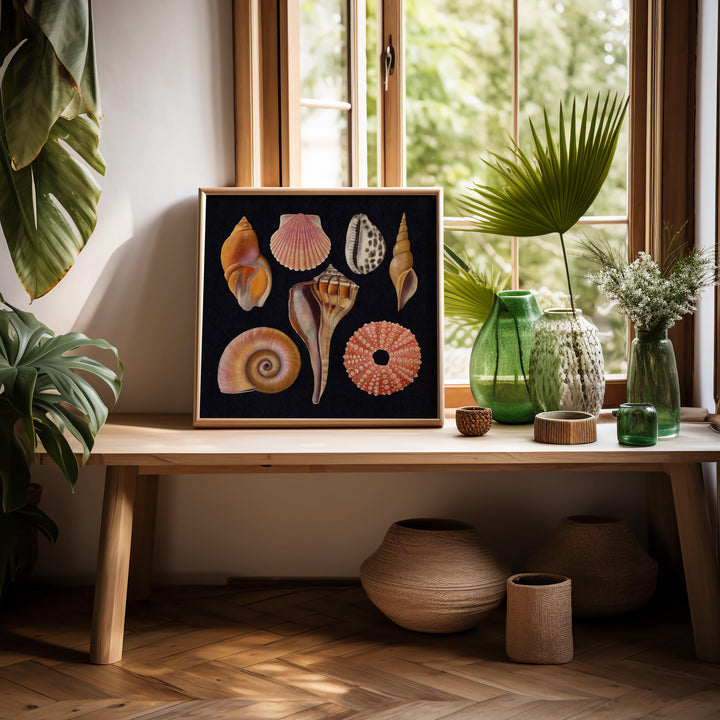 Seashells and Mollusks Art Print