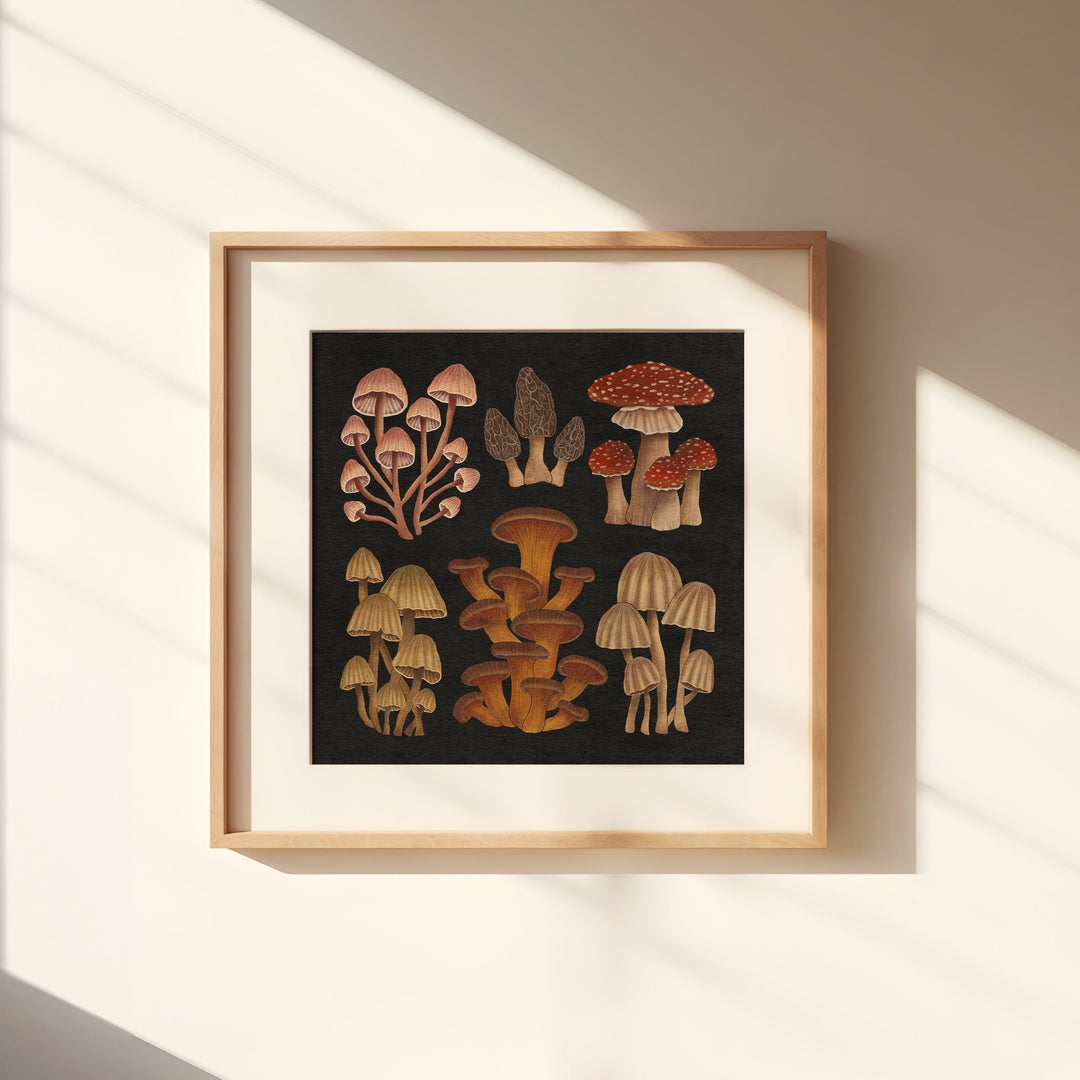 Nocturnal Mushrooms Art Print