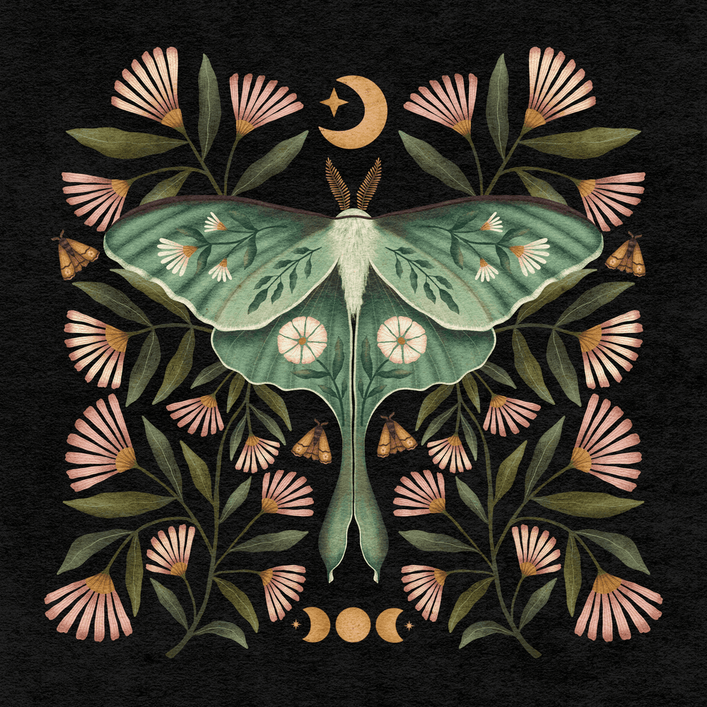 Luna Moth Art Print - High West Wild