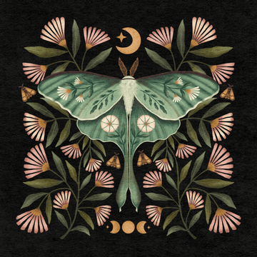 Luna Moth Illustration | Luna Moth Art Print | High West Wild