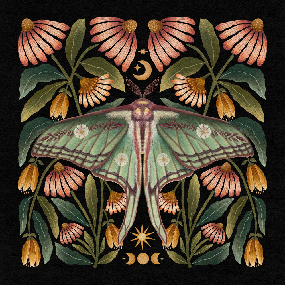 Spanish Moon Moth Art Print - High West Wild